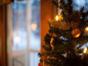 20151215-250711-holly may Mökki Petäjälammella Ruka-Kuusamossa